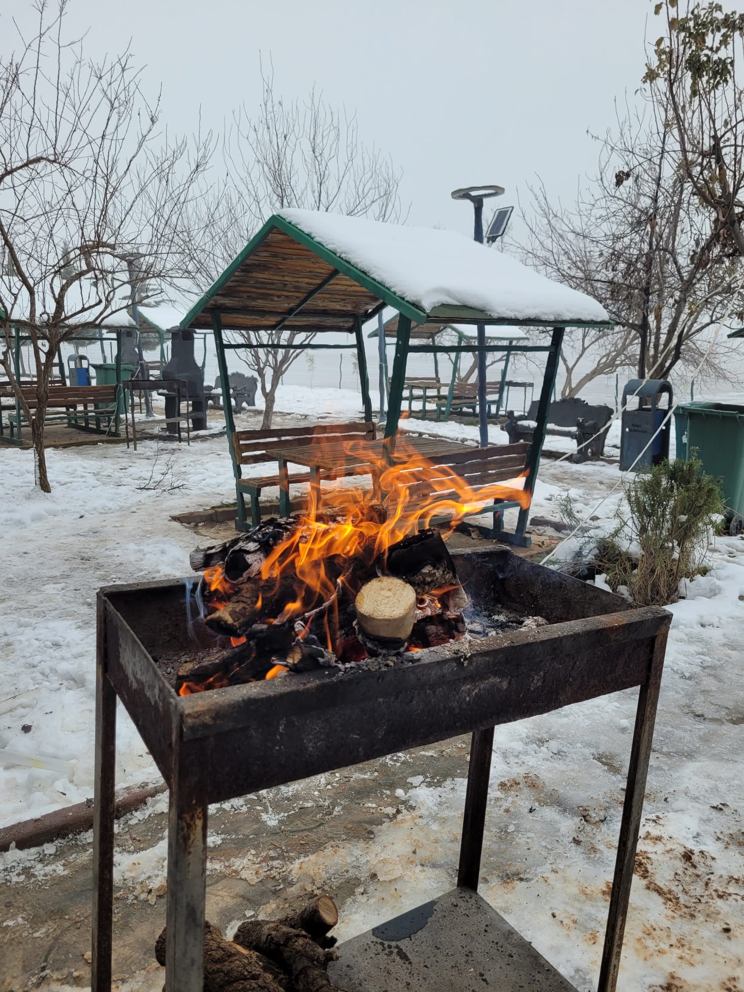 Mesire Alanı