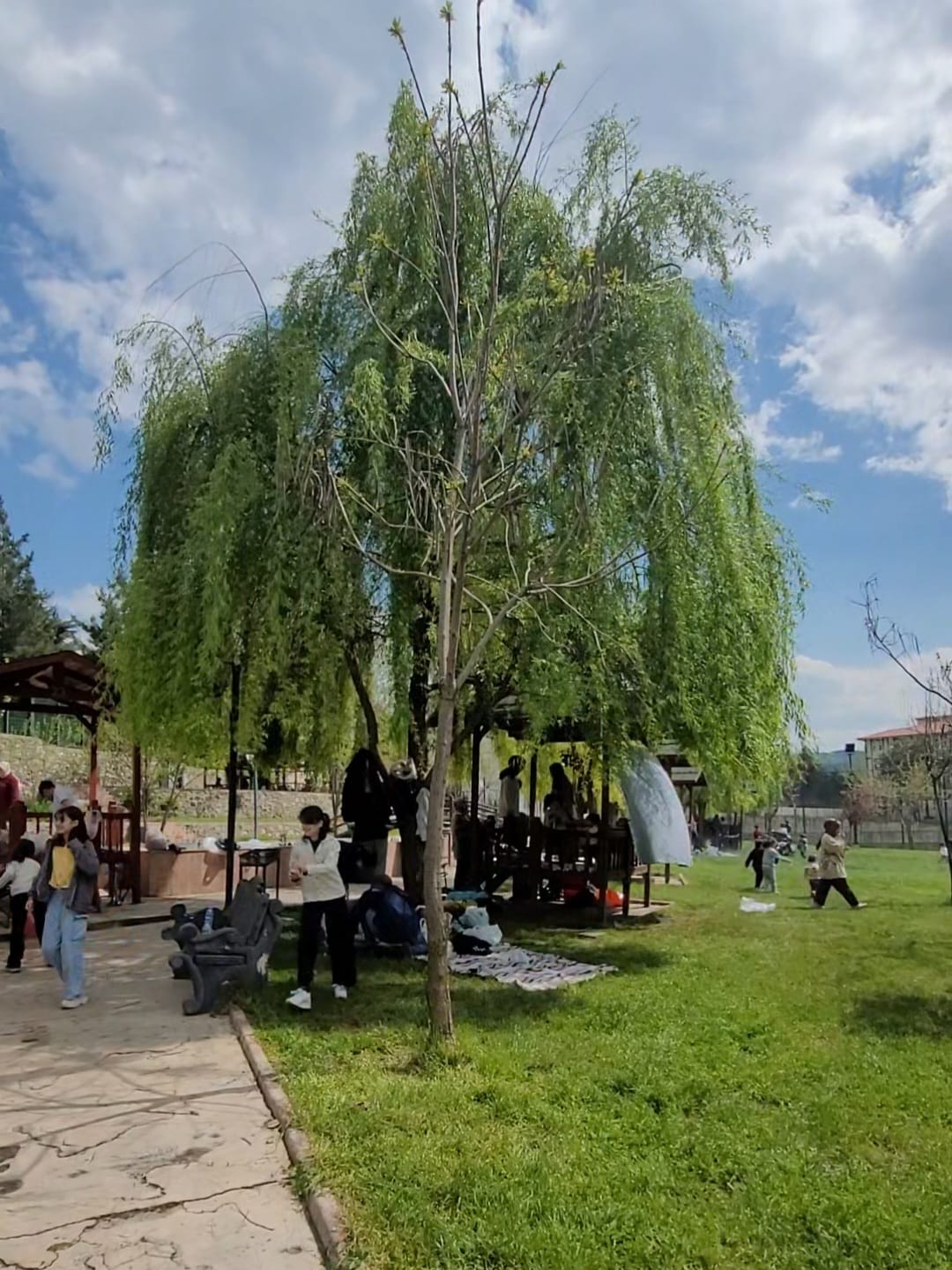 Mesire Alanı